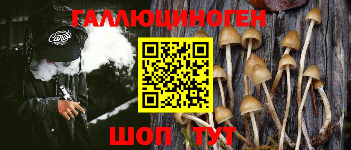 Псилоцибиновые грибы ЛСД Ульяновск