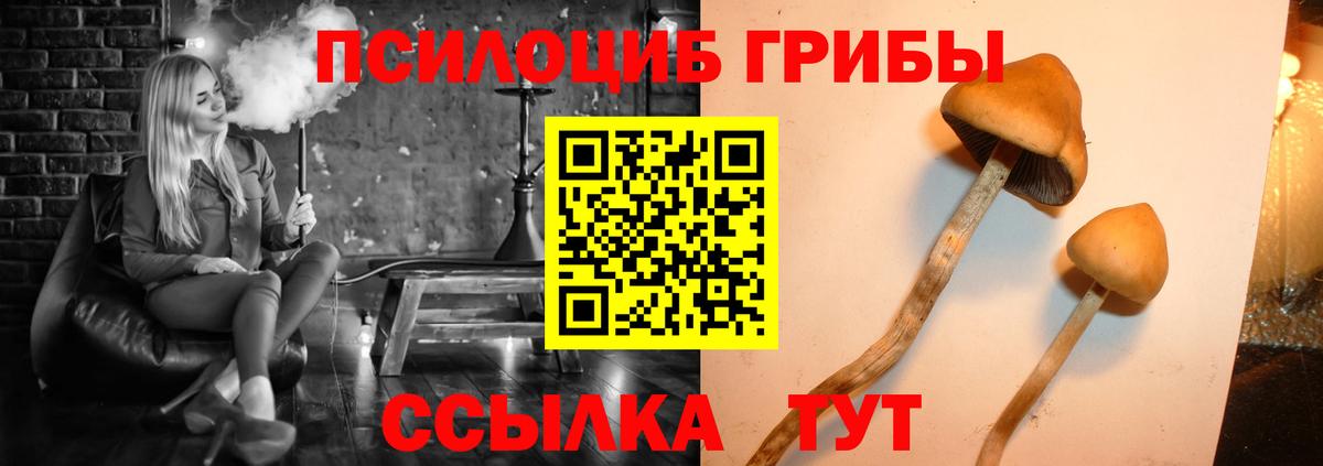 Галлюциногенные грибы Psilocybine cubensis  Вход с VPN  наркотики  Ульяновск 